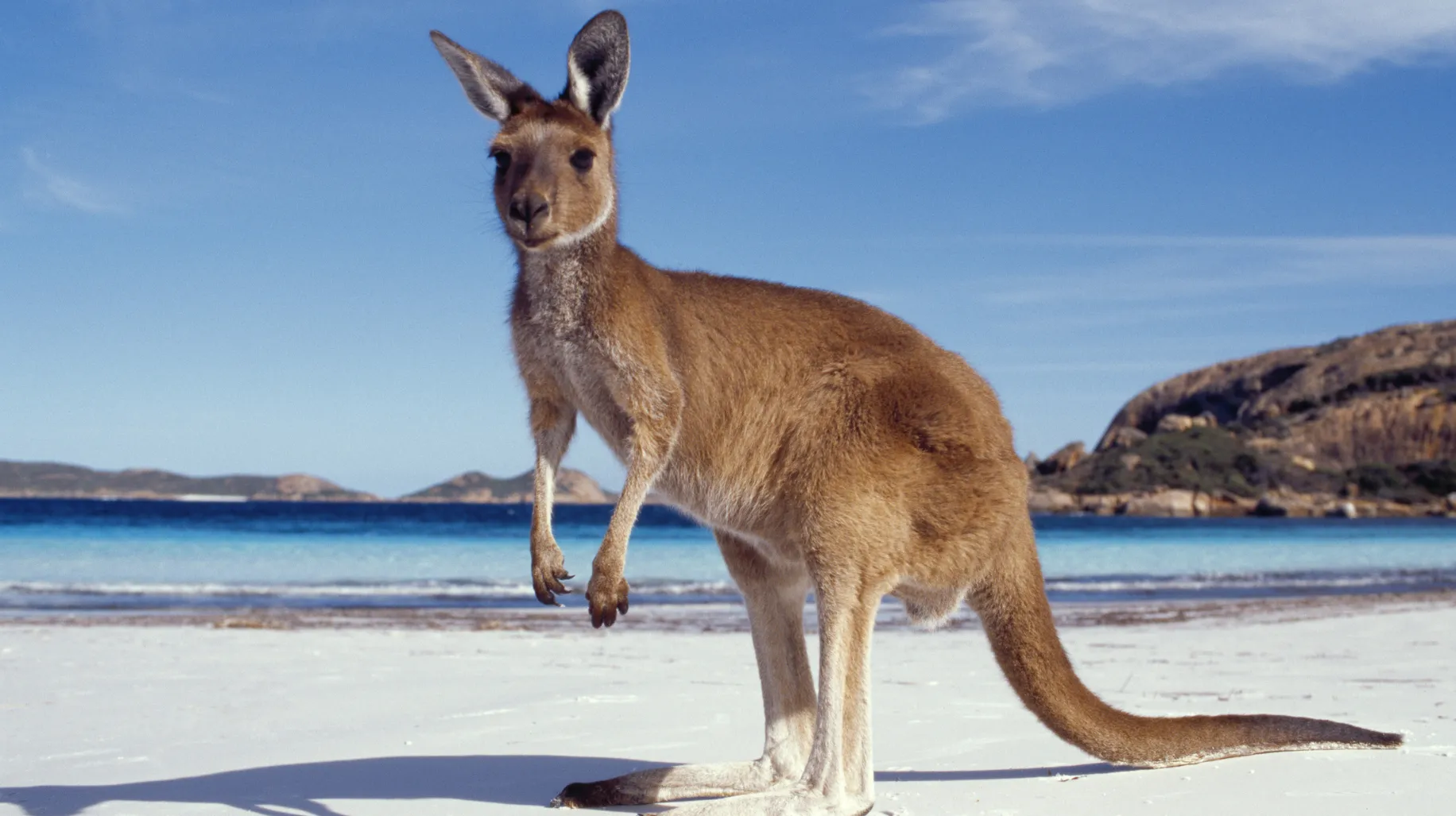 Welcome to Australia: A Skilled Migrants Guide 